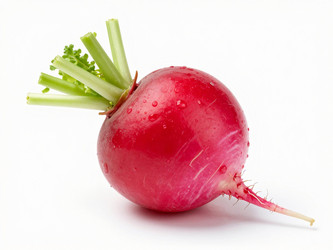 Similar image 22581968