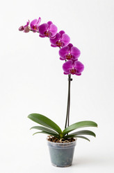 Similar image 22581971