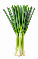 Similar image 22581973