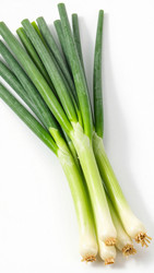 Similar image 22584931