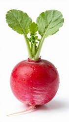 Similar image 22584945