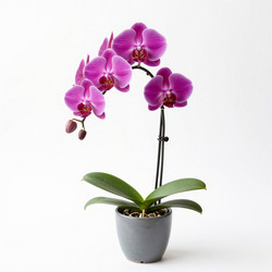 Similar image 22584976