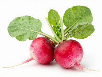 Similar image 22584981