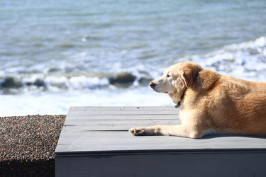 Similar image 22577326