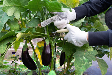 Similar image 22581129