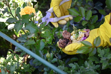 Similar image 22581133