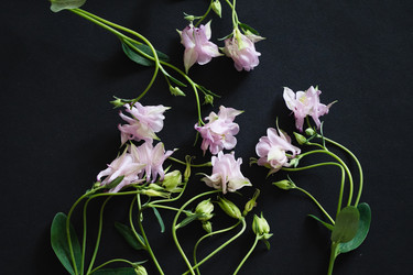 Similar image 22581136