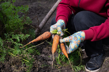 Similar image 22581138