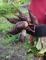 Similar image 22581139