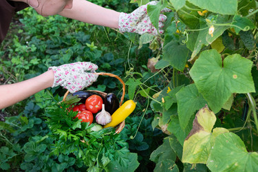 Similar image 22581217