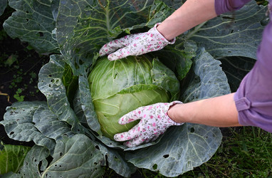 Similar image 22581221