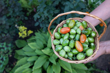 Similar image 22581225