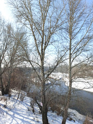 Similar image 22577319