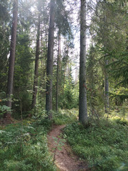 Similar image 22577657