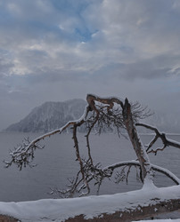 Similar image 22580103