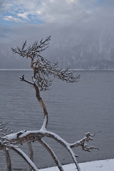 Similar image 22580104