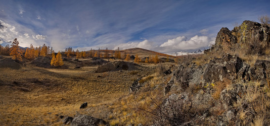 Similar image 22594668