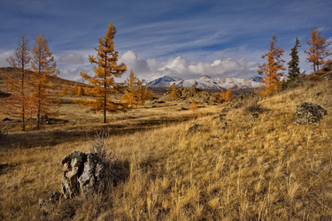 Similar image 22594669