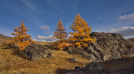 Similar image 22594671