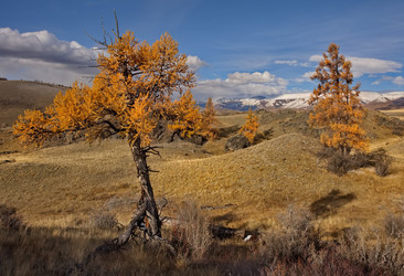 Similar image 22594690