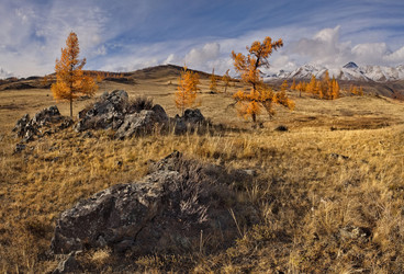 Similar image 22594692