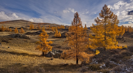 Similar image 22594542