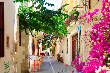 Similar image 22587011