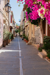 Similar image 22587012