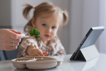 Similar image 22582335