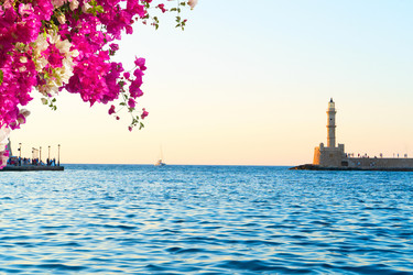 Similar image 22588135