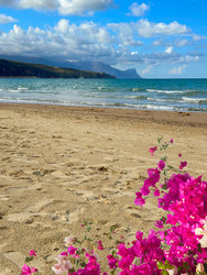 Similar image 22587465