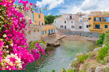 Similar image 22587572