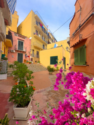 Similar image 22587644