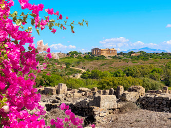 Similar image 22587657