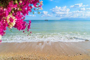 Similar image 22587685