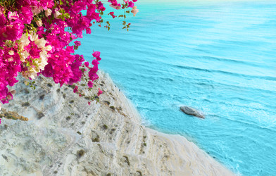 Similar image 22587716