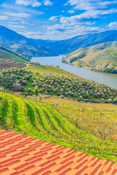 Similar image 22587811