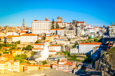 Similar image 22587854