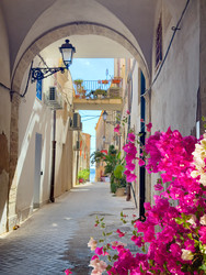 Similar image 22587901