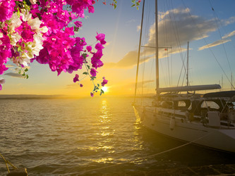 Similar image 22587932