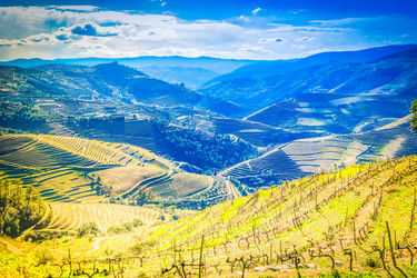 Similar image 22588035