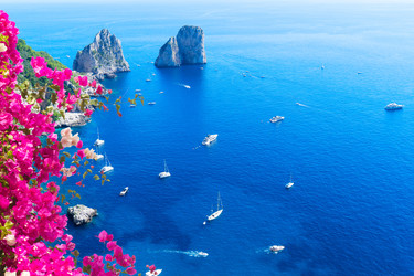 Similar image 22587256