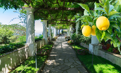 Similar image 22587268