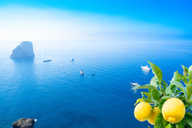 Similar image 22587281