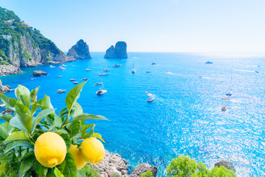 Similar image 22587315