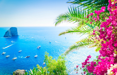 Similar image 22588140