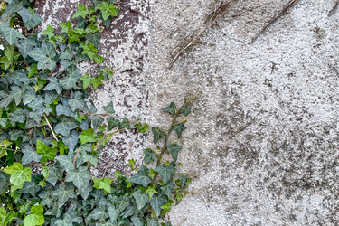 Similar image 22581460