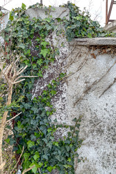 Similar image 22581461