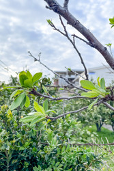 Similar image 22581462