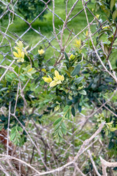 Similar image 22581463